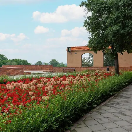 דירה On The Square By Renters